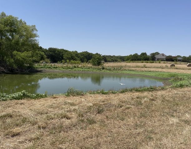 11321 Wild Rose Lane, Anna, TX 75409