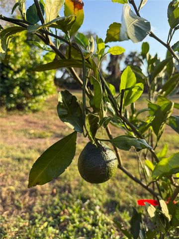 2750 ABBOTSFORD STREET, North Port, FL 34287