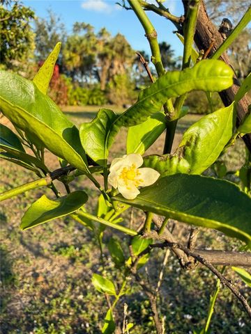 2750 ABBOTSFORD STREET, North Port, FL 34287