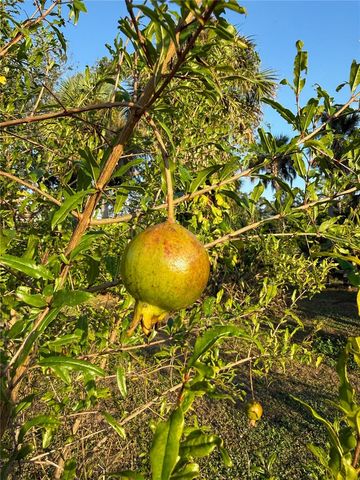 2750 ABBOTSFORD STREET, North Port, FL 34287