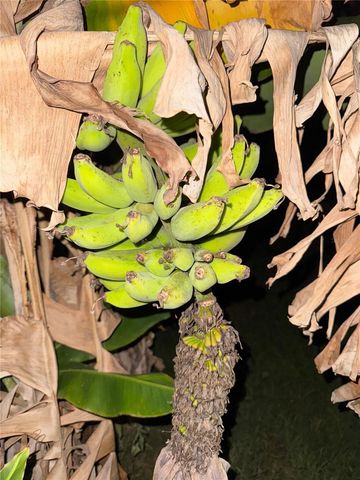 2750 ABBOTSFORD STREET, North Port, FL 34287