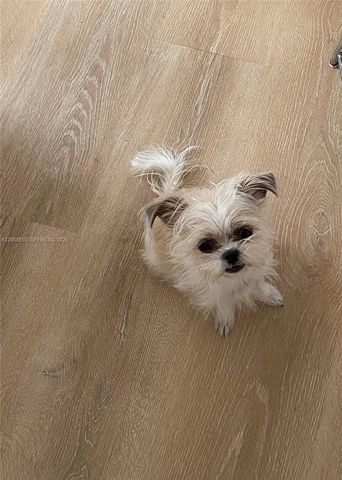 700 Biltmore Way 504, Coral Gables, FL 33134