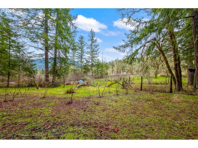 40440 BIG FALL CREEK Rd, Fall Creek, OR 97438