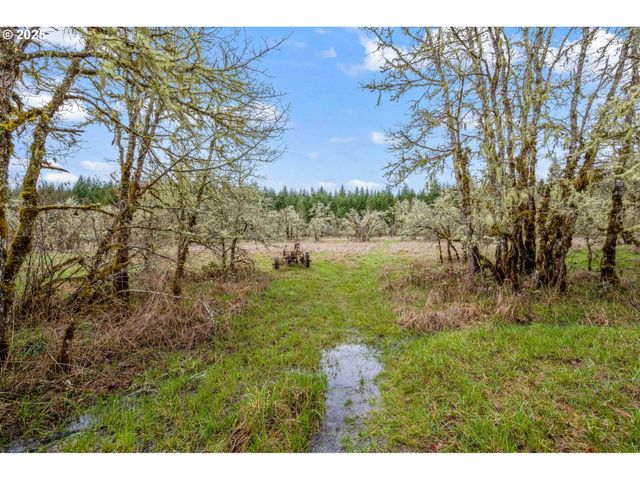 40440 BIG FALL CREEK Rd, Fall Creek, OR 97438