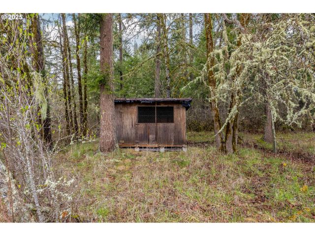 40440 BIG FALL CREEK Rd, Fall Creek, OR 97438