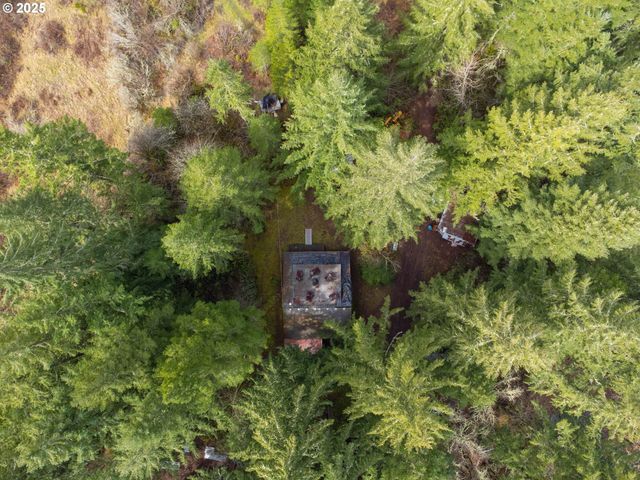 40440 BIG FALL CREEK Rd, Fall Creek, OR 97438