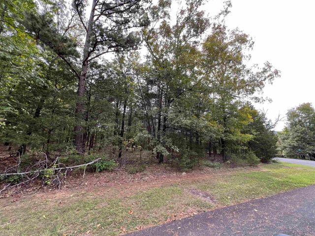 137 Shore Drive, Shirley, AR 72153