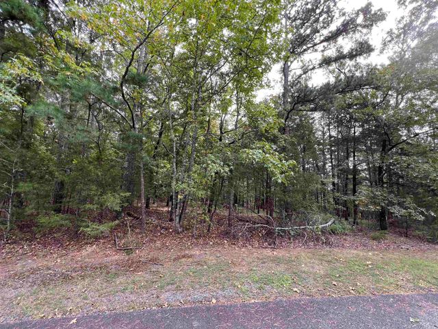 137 Shore Drive, Shirley, AR 72153