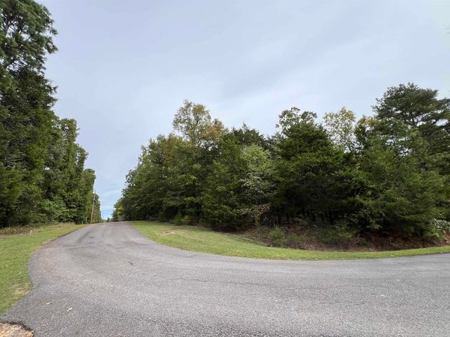 137 Shore Drive, Shirley, AR 72153