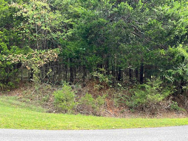 137 Shore Drive, Shirley, AR 72153