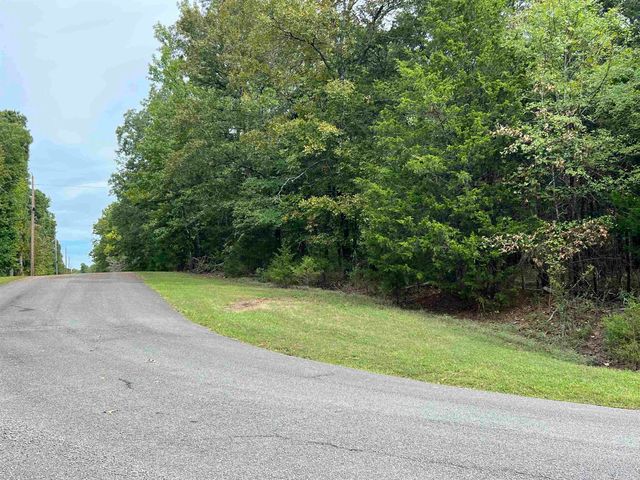 137 Shore Drive, Shirley, AR 72153