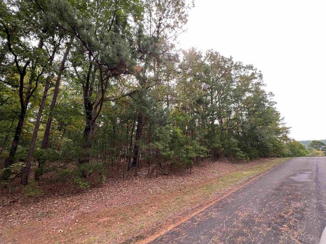 137 Shore Drive, Shirley, AR 72153