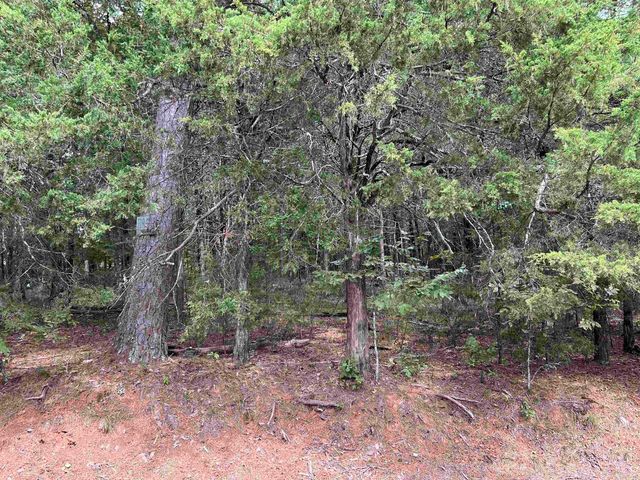 137 Shore Drive, Shirley, AR 72153