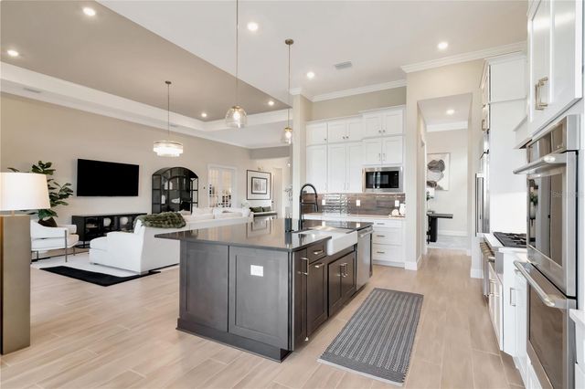 33773 OCEAN SPRAY LANE, Wesley Chapel, FL 33543