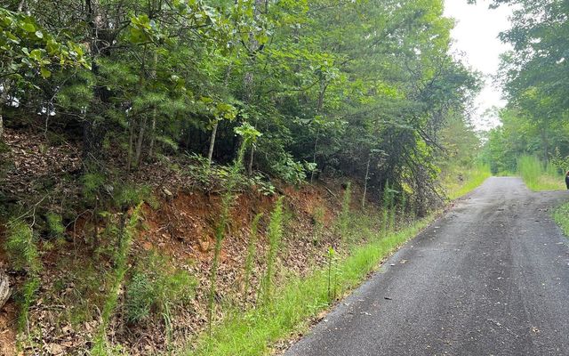 LOT 13 Preserve At Beach Mountain, Brasstown, NC 28902