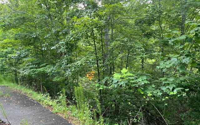 LOT 13 Preserve At Beach Mountain, Brasstown, NC 28902