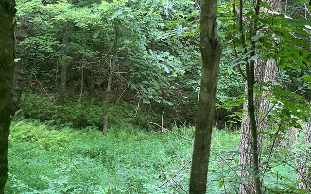 LOT 13 Preserve At Beach Mountain, Brasstown, NC 28902