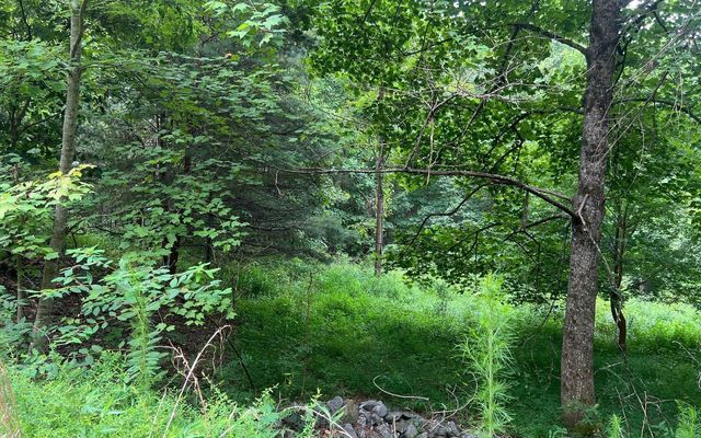 LOT 13 Preserve At Beach Mountain, Brasstown, NC 28902