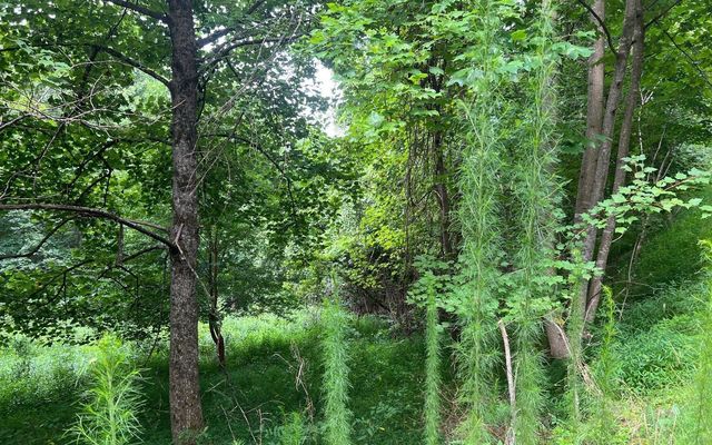 LOT 13 Preserve At Beach Mountain, Brasstown, NC 28902