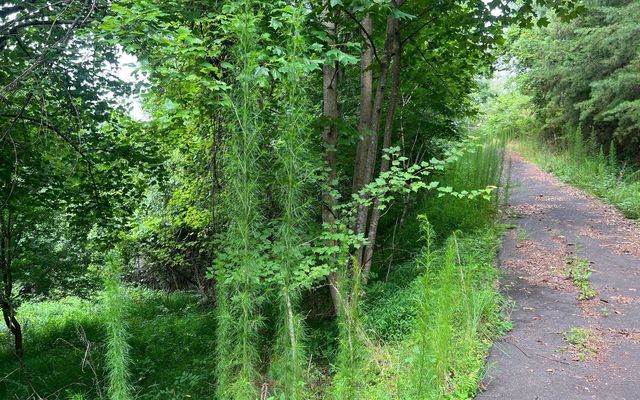 LOT 13 Preserve At Beach Mountain, Brasstown, NC 28902