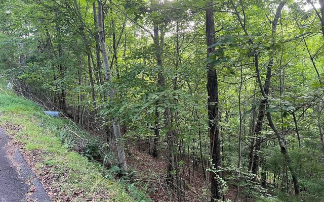 LOT 13 Preserve At Beach Mountain, Brasstown, NC 28902