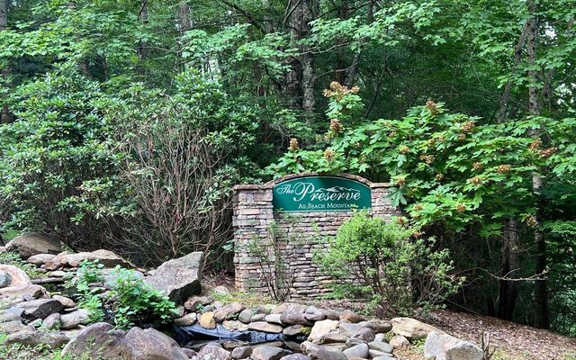 LOT 13 Preserve At Beach Mountain, Brasstown, NC 28902