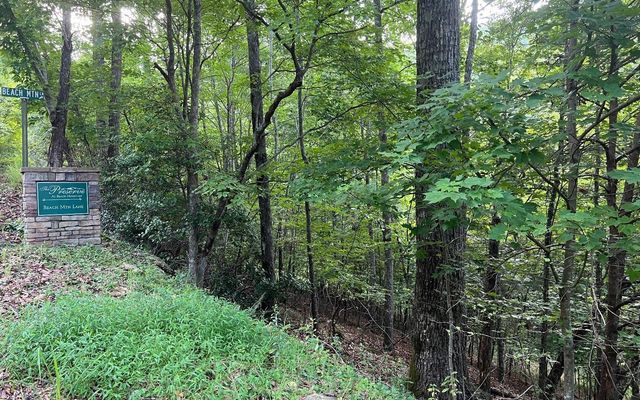 LOT 13 Preserve At Beach Mountain, Brasstown, NC 28902