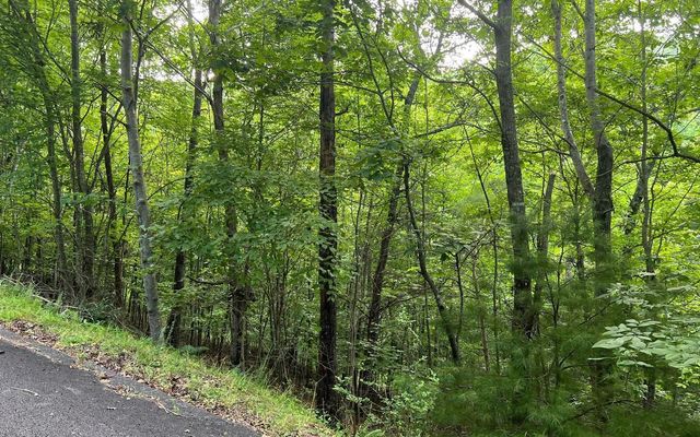 LOT 13 Preserve At Beach Mountain, Brasstown, NC 28902