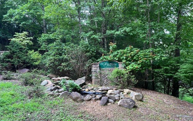LOT 13 Preserve At Beach Mountain, Brasstown, NC 28902