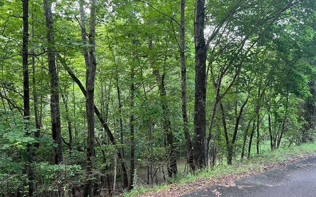 LOT 13 Preserve At Beach Mountain, Brasstown, NC 28902