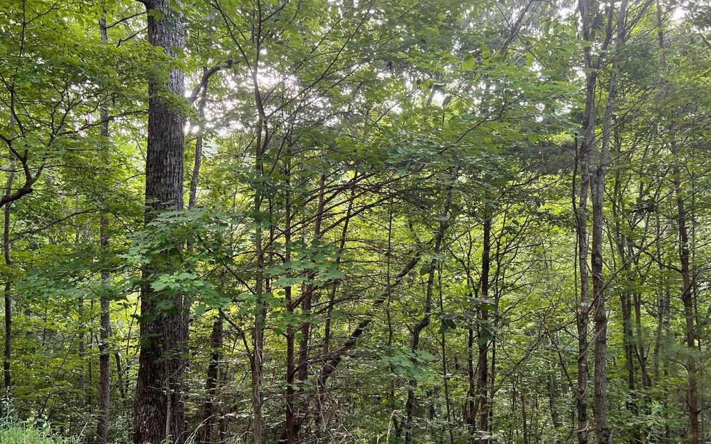 LOT 13 Preserve At Beach Mountain, Brasstown, NC 28902