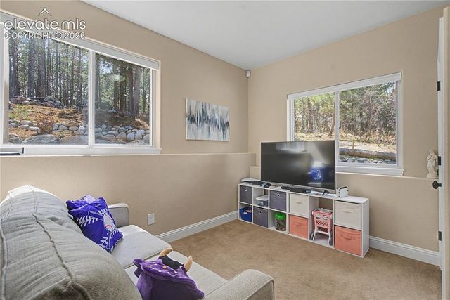 1245 Old Antlers Way, Monument, CO 80132