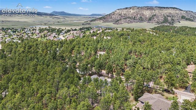 1245 Old Antlers Way, Monument, CO 80132
