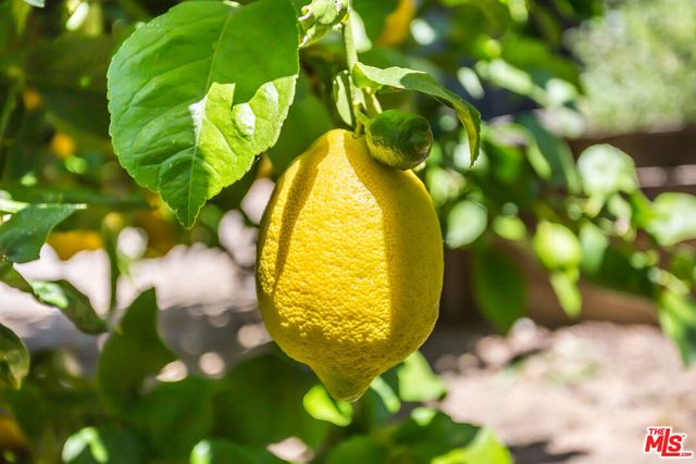 1601 N Curson Avenue, Los Angeles, CA 90046