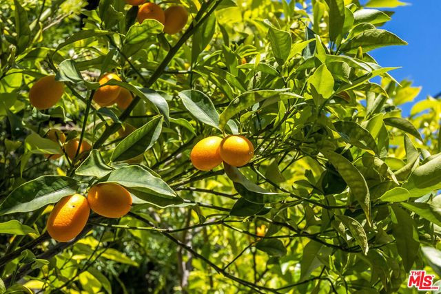 1601 N Curson Avenue, Los Angeles, CA 90046