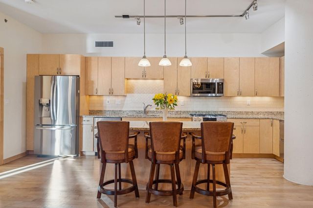 215 10th Avenue S 211, Minneapolis, MN 55415