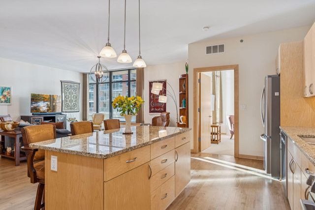 215 10th Avenue S 211, Minneapolis, MN 55415