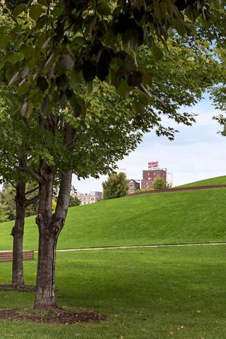 215 10th Avenue S 211, Minneapolis, MN 55415