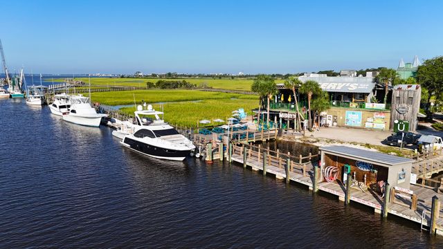 932 Richter Way, Mount Pleasant, SC 29464