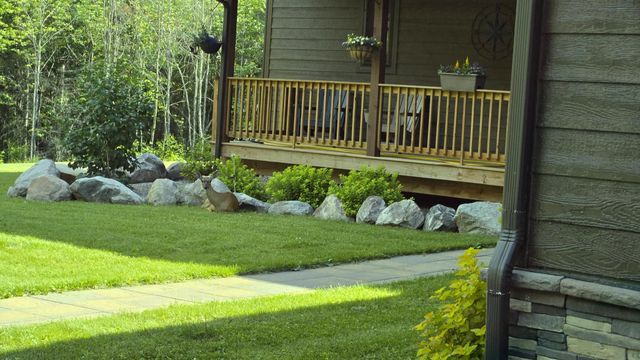 7523 Nelson Road, Crane Lake, MN 55725