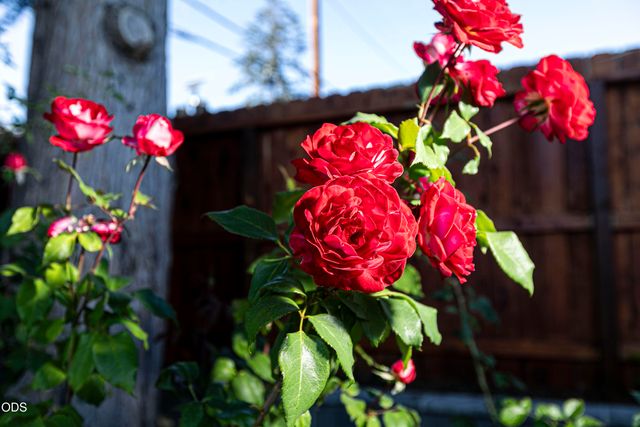 734 NW Midland Avenue, Grants Pass, OR 97526