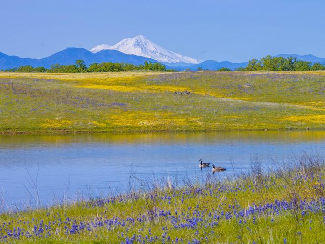 7576 Bear Creek Way, Millville, CA 96062