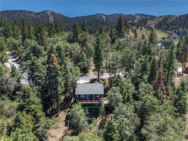 1134 Siskiyou Drive, Big Bear Lake, CA 92315