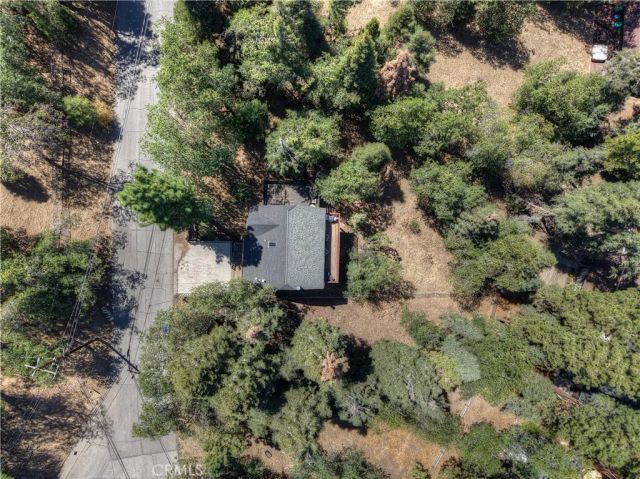1134 Siskiyou Drive, Big Bear Lake, CA 92315