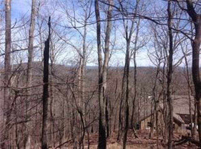 8112 Disharoon Drive, Big Canoe, GA 30143