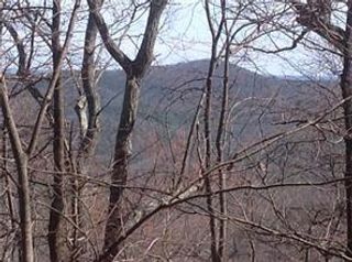 8112 Disharoon Drive, Big Canoe, GA 30143