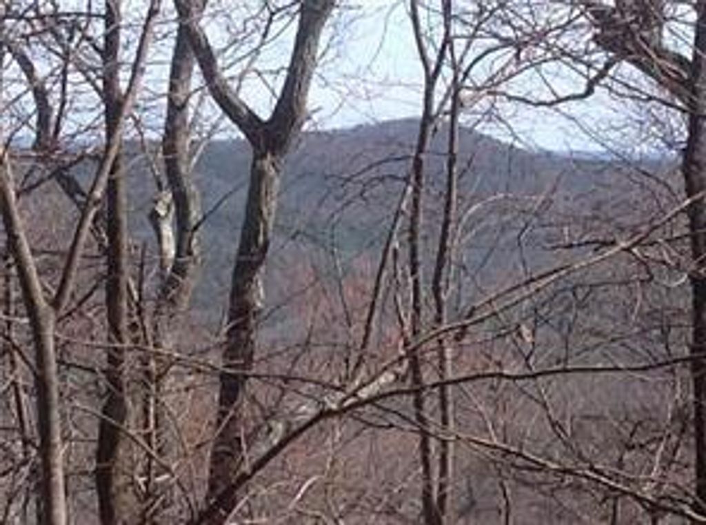 8112 Disharoon Drive, Big Canoe, GA 30143