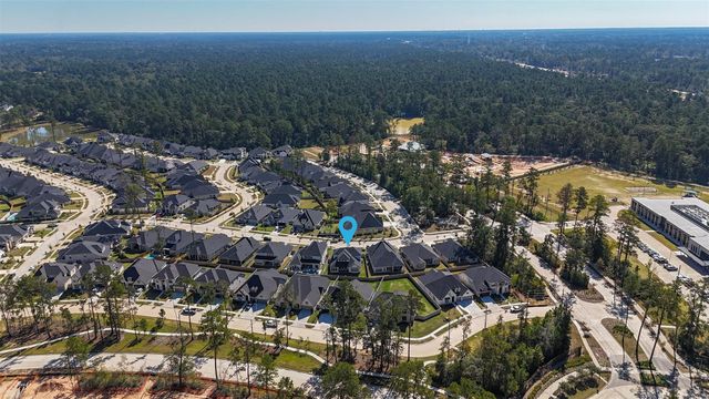 40019 Parkside Oaks Way, Magnolia, TX 77354