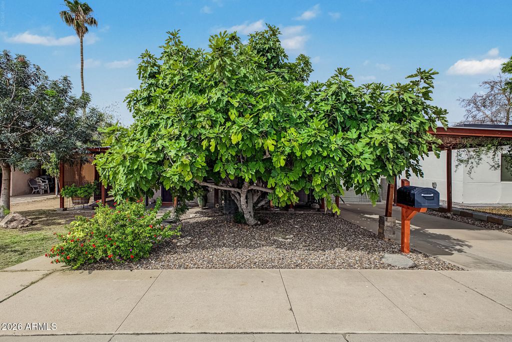 208 N HORNE --, Mesa, AZ 85203 — exterior