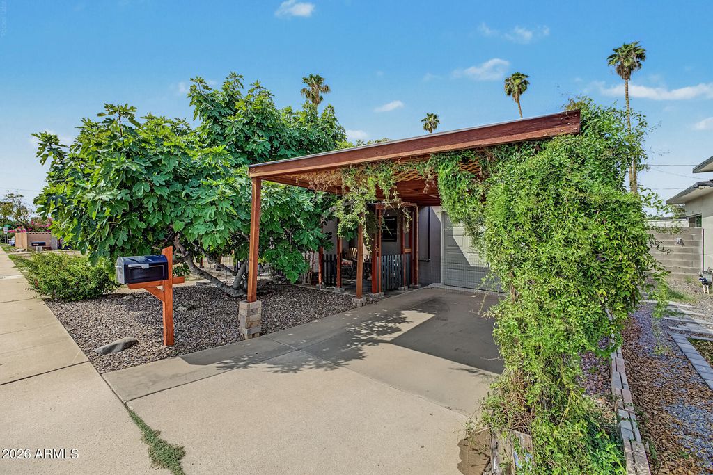 208 N HORNE --, Mesa, AZ 85203 — photo 4